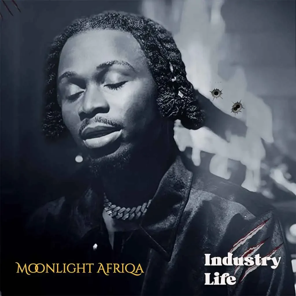 MOONLIGHT AFRIQA Industry Life