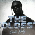 Skilla Baby The Coldest Album 10