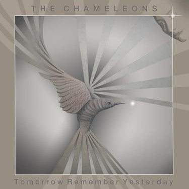 The Chameleons